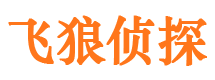 武平市侦探调查公司